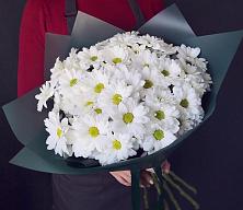 Букет цветов из:  Хризантемы #REPLACE_PRED# Герге