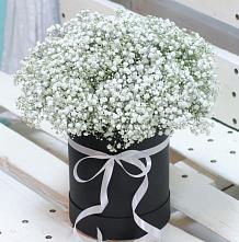 Цветочная композиция из Гипсофила в шляпной коробке #REPLACE_PRED# Герге